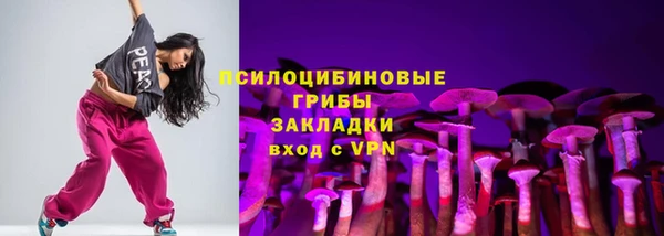 spice Алексеевка