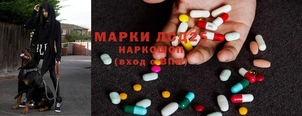 spice Алексеевка